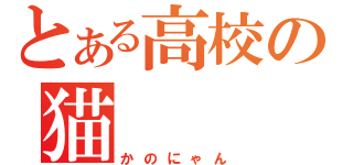 とある高校の猫（かのにゃん）