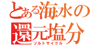 とある海水の還元塩分（ソルトサイクル）