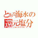 とある海水の還元塩分（ソルトサイクル）