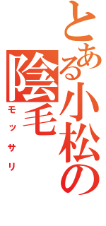 とある小松の陰毛（モッサリ）