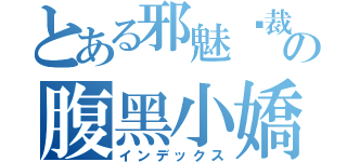 とある邪魅总裁の腹黑小嬌妻（インデックス）