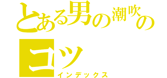 とある男の潮吹きのコツ（インデックス）