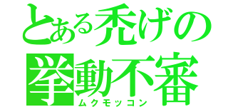 とある禿げの挙動不審（ムクモッコン）