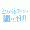 とある家鍵の行方不明（シグナルロスト）