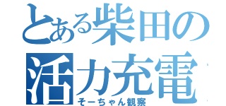 とある柴田の活力充電（そーちゃん観察）