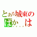 とある城東のばか　はげ（ハゲハゲ）