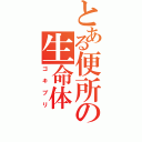 とある便所の生命体（ゴキブリ）