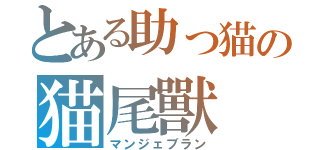 とある助っ猫の猫尾獸（マンジェブラン）