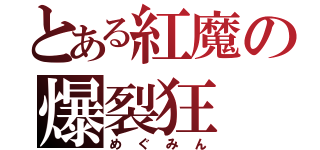 とある紅魔の爆裂狂（めぐみん）