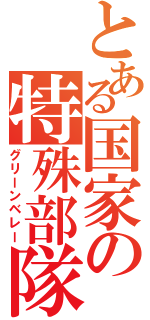 とある国家の特殊部隊（グリーンベレー）