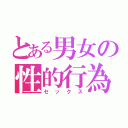 とある男女の性的行為（セックス）