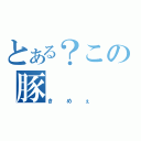 とある？この豚（きめぇ）