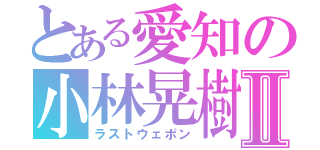 とある愛知の小林晃樹Ⅱ（ラストウェポン）