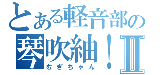 とある軽音部の琴吹紬！Ⅱ（むぎちゃん）