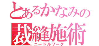 とあるかなみの裁縫施術（ニードルワーク）