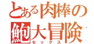 とある肉棒の鮑大冒険（セックス）