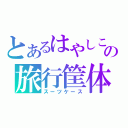 とあるはやしこの旅行筐体（スーツケース）