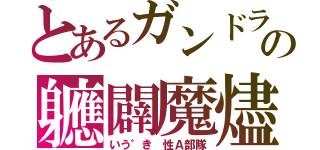 とあるガンドラの軈闢魔燼（いう゛き 性Ａ部隊）