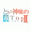 とある神龍の專ＴｏｐⅡ（小小胖子）