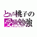 とある桃子の受験勉強（めんどくしゃい）