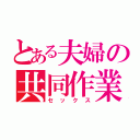 とある夫婦の共同作業（セックス）