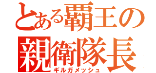 とある覇王の親衛隊長（ギルガメッシュ）