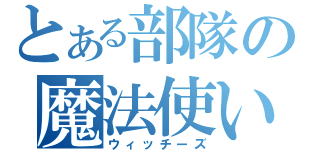 とある部隊の魔法使い（ウィッチーズ）