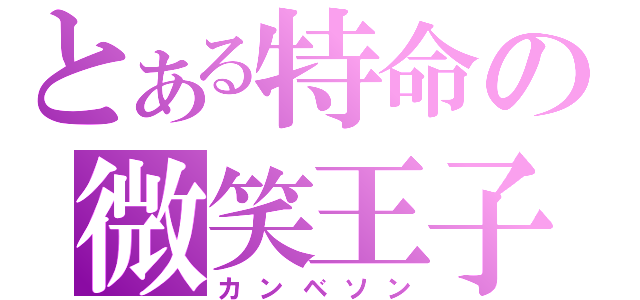 とある特命の微笑王子（カンベソン）