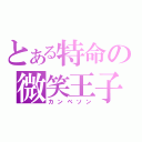 とある特命の微笑王子（カンベソン）