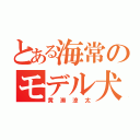 とある海常のモデル犬（黄瀬涼太）