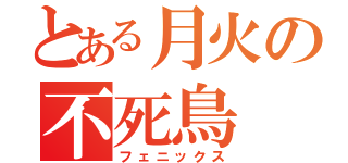 とある月火の不死鳥（フェニックス）