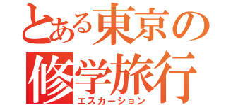 とある東京の修学旅行（エスカーション）