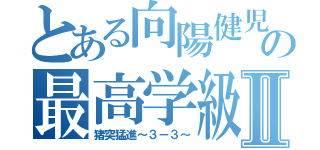 とある向陽健児の最高学級３－３Ⅱ（猪突猛進～３－３～）