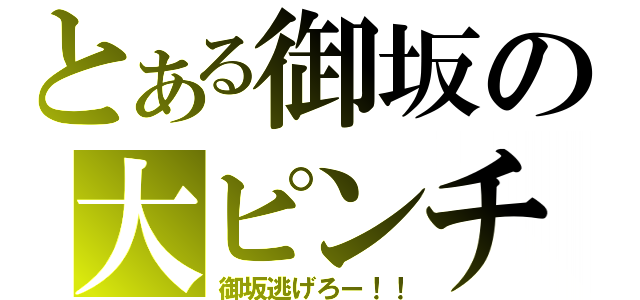 とある御坂の大ピンチ（御坂逃げろー！！）