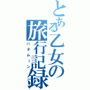 とある乙女の旅行記録（ハネムーン）