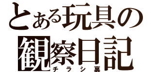 とある玩具の観察日記（チラシ裏）