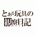 とある玩具の観察日記（チラシ裏）