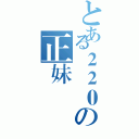 とある２２０の正妹（）