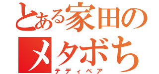 とある家田のメタボちゃん（テディベア）