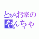 とあるお家のやんちゃ君（来夢）