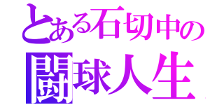 とある石切中の闘球人生（）