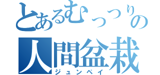 とあるむっつりの人間盆栽（ジュンペイ）