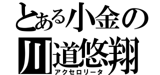 とある小金の川道悠翔（アクセロリータ）