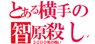 とある横手の智原殺し（３０００年の呪い）