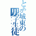 とある城東の男子生徒（ターナー）