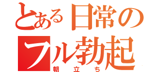 とある日常のフル勃起（朝立ち）