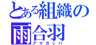 とある組織の雨合羽（アマガッパ）