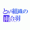 とある組織の雨合羽（アマガッパ）