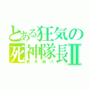 とある狂気の死神隊長Ⅱ（更木剣八）