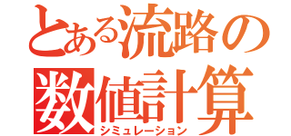 とある流路の数値計算（シミュレーション）